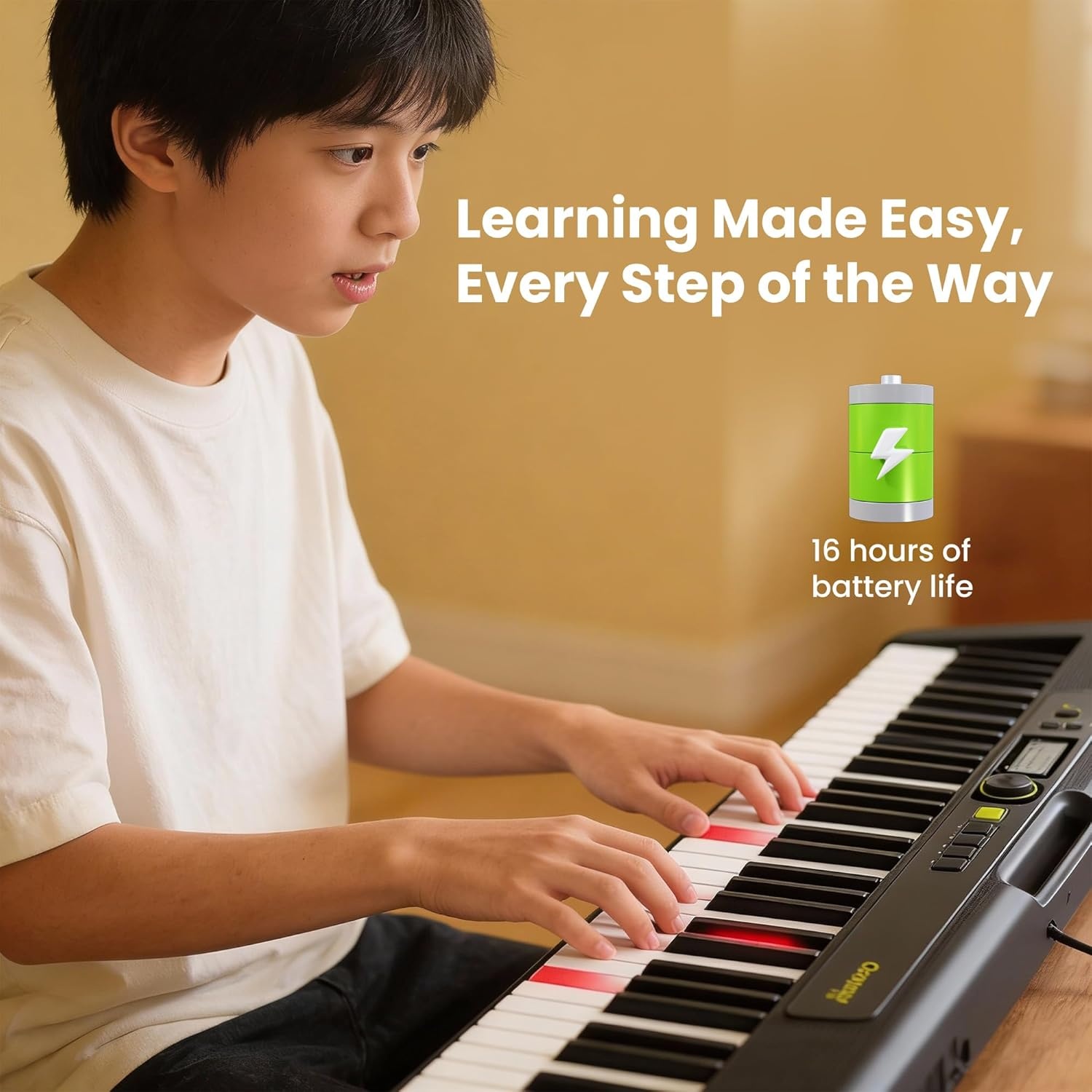 image:imageCasio Casiotone LKS250 61Key Lighted Portable Keyboard Touch Response Key Lighting System 400 Tones Dance Music Mode 60 Songs 4Stage Lesson SystemPremium Pack