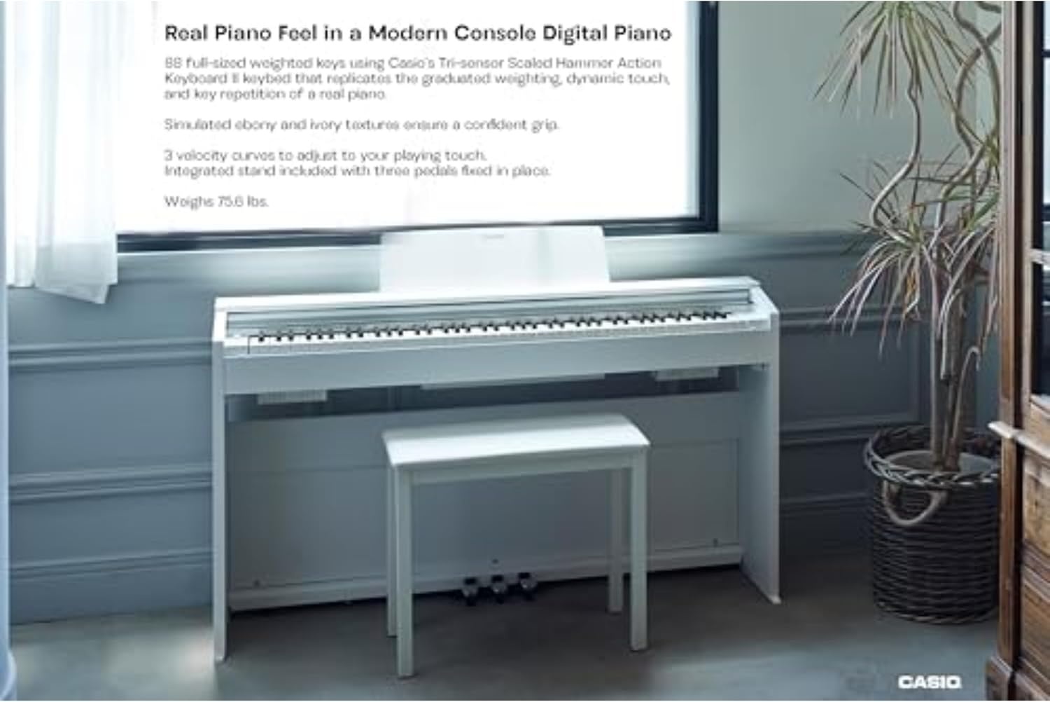image:imageCasio Privia PX870 88Key Weighted Console Digital Piano TriSensor II Scaled Hammer Action Keys Elegant Design Powerful 40W 4Speaker Sound Concert Play USBMIDI WhiteWhite